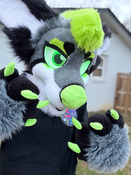 UV Sharkdog Premade - 2025