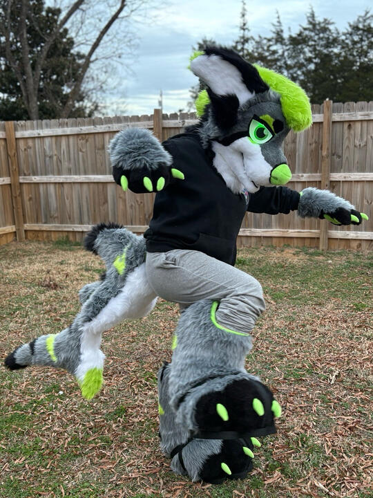 UV SHARKDOG Premade - 2025